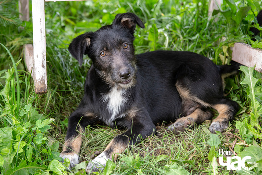 3/9 _sluck___vyratu_zycce__fota_dzmitryeu_dzmitryj_novy_czas__4__logo.jpg