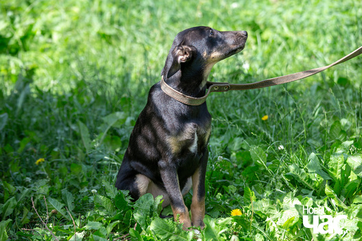 4/9 _sluck___vyratu_zycce__fota_dzmitryeu_dzmitryj_novy_czas__7__logo.jpg