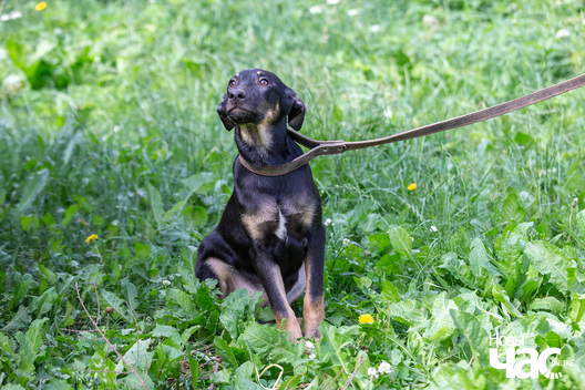 5/9 _sluck___vyratu_zycce__fota_dzmitryeu_dzmitryj_novy_czas__8__logo.jpg