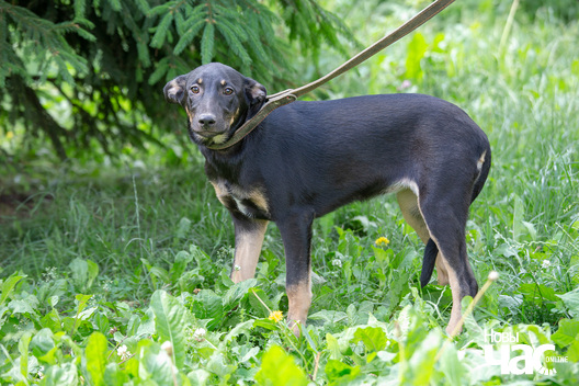 3/9 _sluck___vyratu_zycce__fota_dzmitryeu_dzmitryj_novy_czas__9__logo.jpg