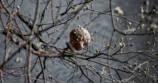 Цэны павышаць забаранілі. І што цяпер рабіць? ТОП 10 пытанняў і адказаў