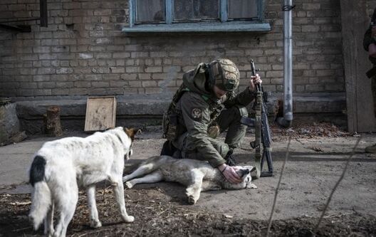 Ілюстрацыйнае фота Ілюстрацыйнае фота