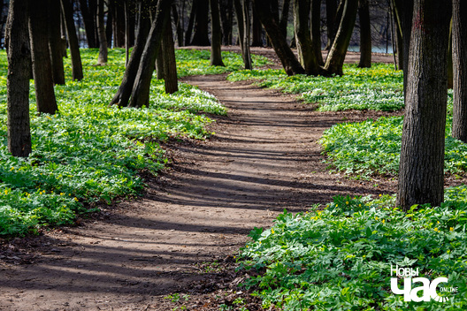 Фота Дзмітрыя Дзмітрыева Фота Дзмітрыя Дзмітрыева
