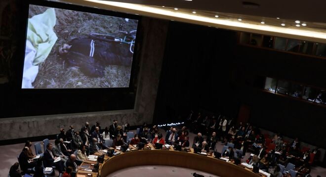 Расійскае права вета ў Радзе Бяспекі ААН азначае права забіваць Уладзімір Зяленскі: Расійскае права вета ў Радзе Бяспекі ААН азначае права забіваць