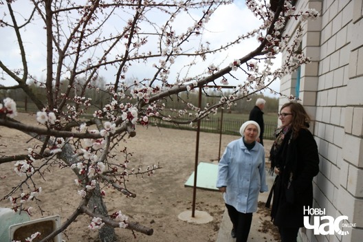 abrykos_logo.jpg abrykos_logo.jpg