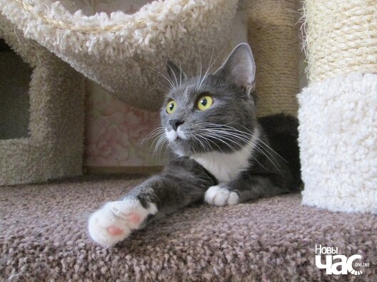 aexbmmgsfh4_logo.jpg aexbmmgsfh4_logo.jpg