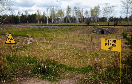 aux_1619440599_chernobyl_26042021_tutby_brush_phsl__6929.jpg aux_1619440599_chernobyl_26042021_tutby_brush_phsl__6929.jpg
