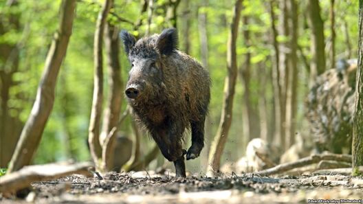 b4597b5a_fb14_48b9_91a9_d5f43123f9ba_cx0_cy10_cw0_w1023_r1_s.jpg b4597b5a_fb14_48b9_91a9_d5f43123f9ba_cx0_cy10_cw0_w1023_r1_s.jpg