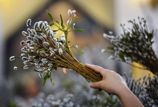 belaruspartisan.by belaruspartisan.by