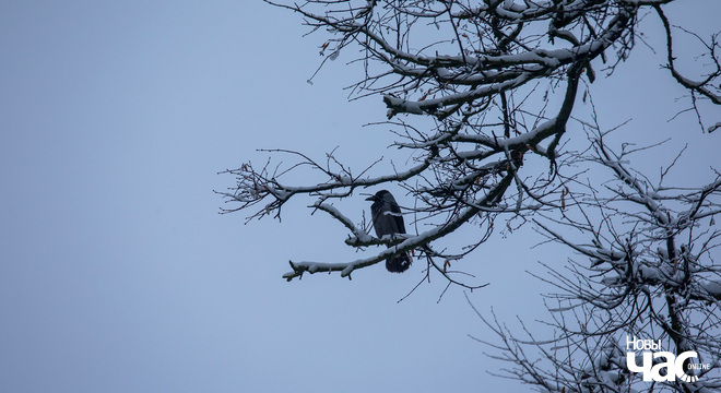 Што чакае беларускую мадэль развіцця ў 2024 годзе? У каляіне контррэвалюцыі. Прагноз для беларускай мадэлі на 2024 год