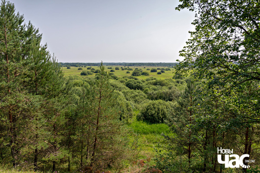 8/9 belarus_kolasauskija_mjasciny_pryroda_2023_fota_novy_czas__2___1__logo.jpg