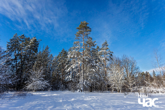 6/6 belarus_zima_krajavidy_final_2024_fota_novy_czas__5__logo.jpg