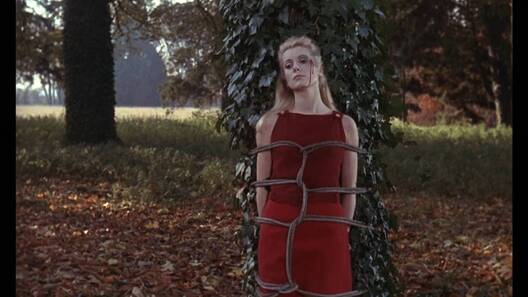 belle_de_jour_1.jpg belle_de_jour_1.jpg