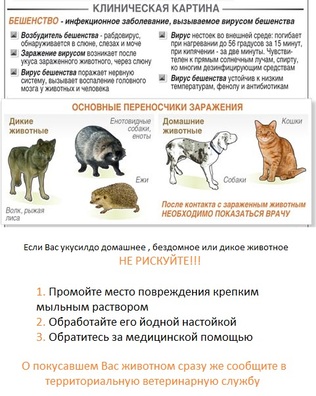 beshvo.jpg beshvo.jpg