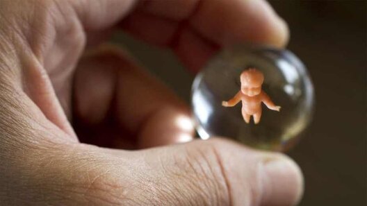 birth.jpg birth.jpg