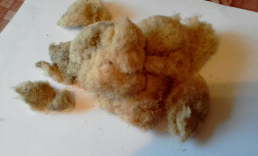 borisovdrev1_8d183a82389a2fd51069ec5a08b16c354e269b00.jpg borisovdrev1_8d183a82389a2fd51069ec5a08b16c354e269b00.jpg