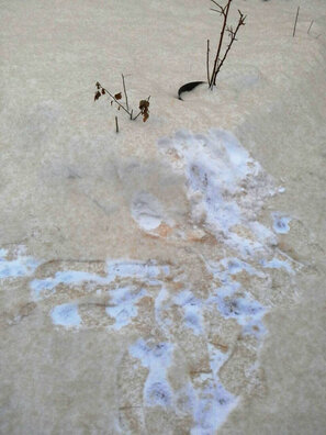 borisovdrev2_8517b082a5b14bd5a4e147938318ca22dc73adb8.jpg borisovdrev2_8517b082a5b14bd5a4e147938318ca22dc73adb8.jpg