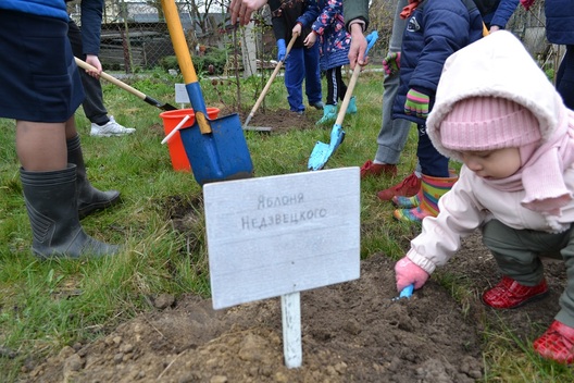 brest_001_1.jpg brest_001_1.jpg