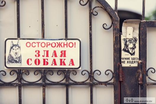 budzma.by__wp_content_gall_9ea159515af3965e482002302f21c8c8.jpeg budzma.by__wp_content_gall_9ea159515af3965e482002302f21c8c8.jpeg