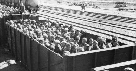 З палона ў палон. Факты пра бесчалавечны загад № 270