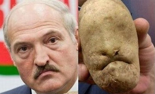 Калаж з fishki.net Калаж з fishki.net