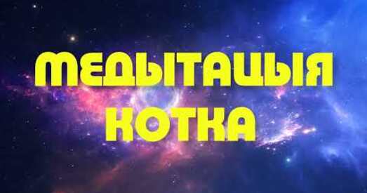 Медытацыя па-беларуску на лёгкае засынанне. Котка