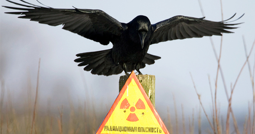 Чарнобыльская аварыя -- задача, якую беларусы яшчэ павінны вырашыць