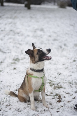 ckqbpfq9lau_logo.jpg ckqbpfq9lau_logo.jpg