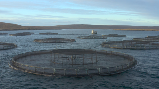 cooke___drone_2.png cooke___drone_2.png