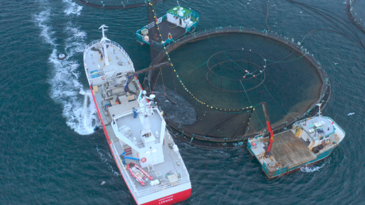 cooke___harvesting___drone3.png cooke___harvesting___drone3.png