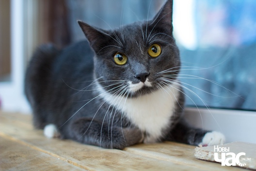 dn7iwxkl4lo_logo.jpg dn7iwxkl4lo_logo.jpg