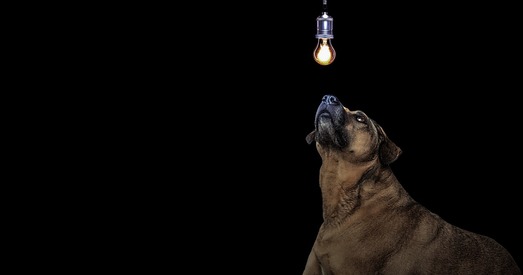 Саўмін прызначыў новыя тарыфы на электраэнергію