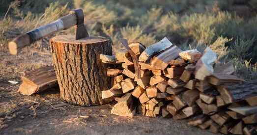 Беларускі эканамічны цуд: «Нафтан» выставіў на продаж… дровы!