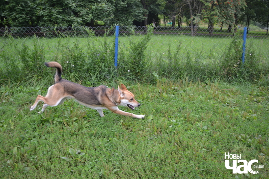 6/6 dsc_0026_logo.jpg