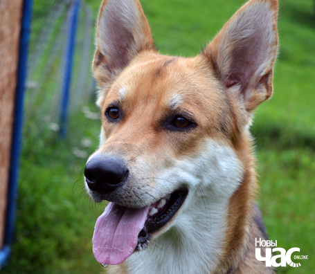 1/6 dsc_0079_logo.jpg