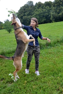 3/6 dsc_0083_1_logo.jpg