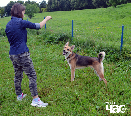 2/6 dsc_0091_1_logo.jpg