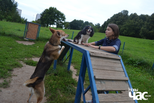 dsc_0101_2_logo.jpg dsc_0101_2_logo.jpg