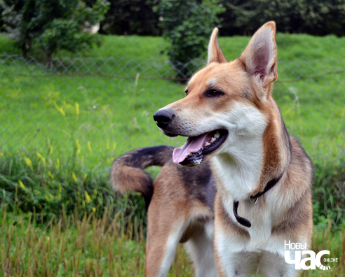 dsc_0116_1_logo.jpg dsc_0116_1_logo.jpg