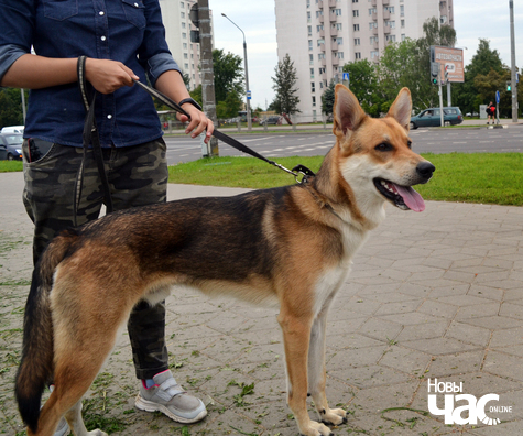 4/6 dsc_0158_logo.jpg