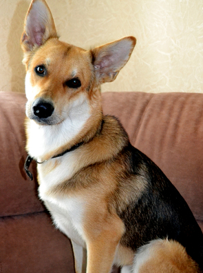 dsc_0175_1_logo.jpg dsc_0175_1_logo.jpg