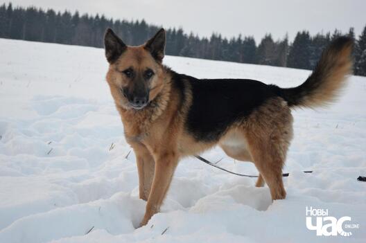 dsc_0337_2_logo.jpg dsc_0337_2_logo.jpg