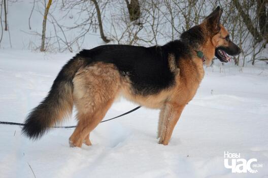 dsc_0339_logo.jpg dsc_0339_logo.jpg