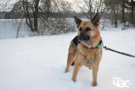 dsc_0341_logo.jpg dsc_0341_logo.jpg