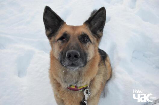 dsc_0345_logo.jpg dsc_0345_logo.jpg