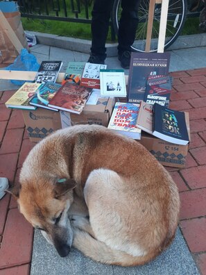 7/10 dzen_voli_u_batumi_11_logo.jpg