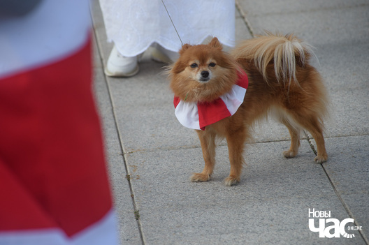 13/25 dzien_salidarnasci_vilnia_yerchak_0701_logo.jpg