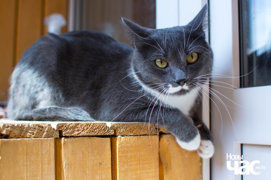 4/4 egmiwlmczdq_logo.jpg