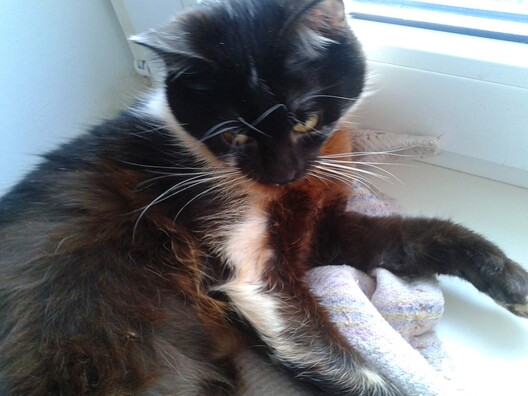 eh1t8ag0hc4_logo.jpg eh1t8ag0hc4_logo.jpg