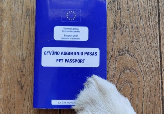 Еўрапейскі ветэрынарны пашпарт Еўрапейскі ветэрынарны пашпарт